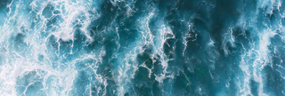 Aquatic